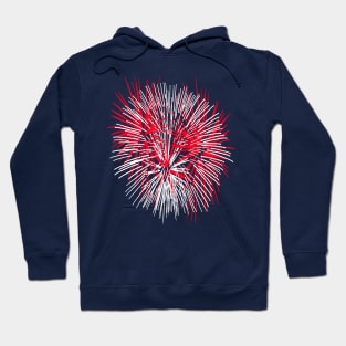 Light Up The Night Sky Colorful Fireworks Celebrations 9 Hoodie